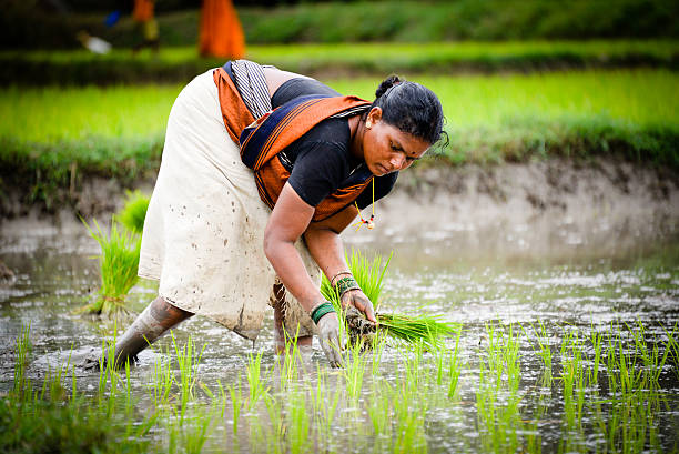 Colix Agro Research